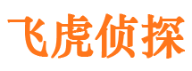 满城市调查公司